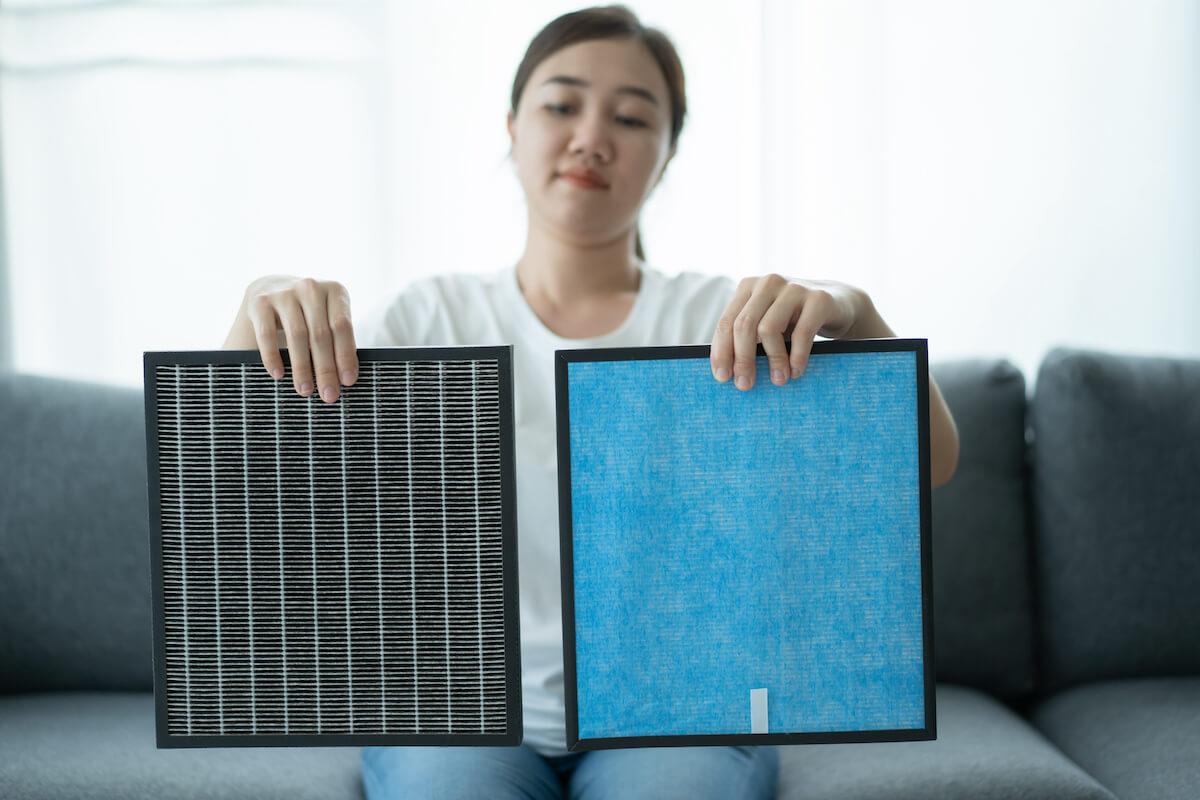 Woman comparing air filters